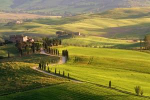 法甲联赛直播360，高清画质与沉浸式体验法甲联赛直播360